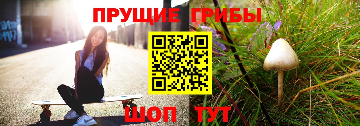 Энгельс  Галлюциногенные грибы ЛСД  Вход с VPN 